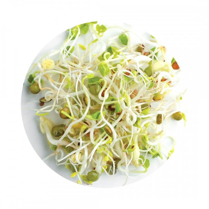 Organic Sweet & Spicy Mix Seeds for Sprouting 100g - The Health Shop