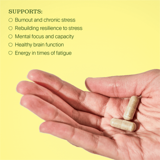 BePure Burnout Rescue 60 vege caps - The Health Shop