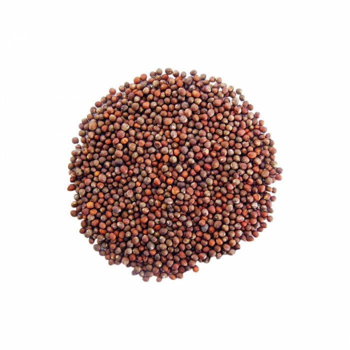 Organic Green Broccoli Seeds for Sprouting 100g - The Health Shop