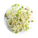 LocalID_18839 