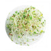 LocalID_18848 