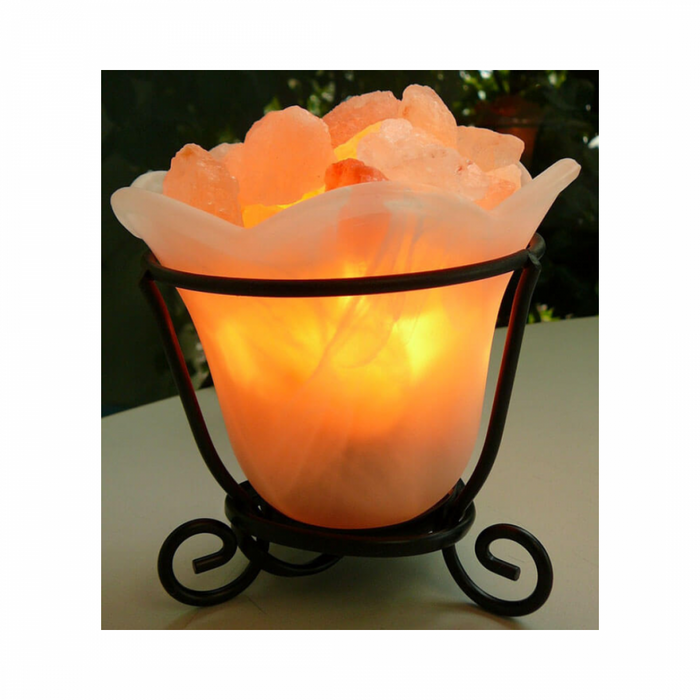 Himalayan Salt Lamp Glass Bowl with Metal Frame