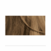 LocalID_6784 