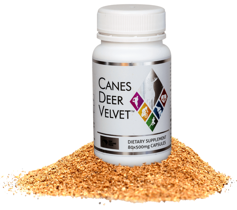 Canes Deer Velvet 500mg 80caps - The Health Shop