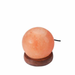 LocalID_4050 