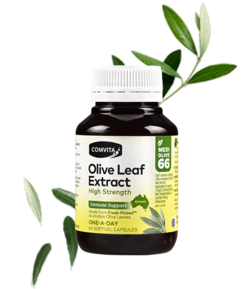 Comvita Olive Leaf Extract, High Strength Immune Support 60 softgels - The Health Shop