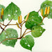 Self Heal Kawakawa Cream 100g