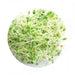 LocalID_18846 