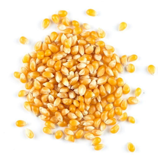 Corn, Popping Organic 500g - The Health Shop