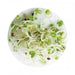 LocalID_18843 