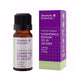 Absolute Essential Chamomile Roman: 3% in Jojoba (Organic) 10ml - The Health Shop