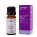 Absolute Essential Clary Sage (Organic) 10ml - The Health Shop