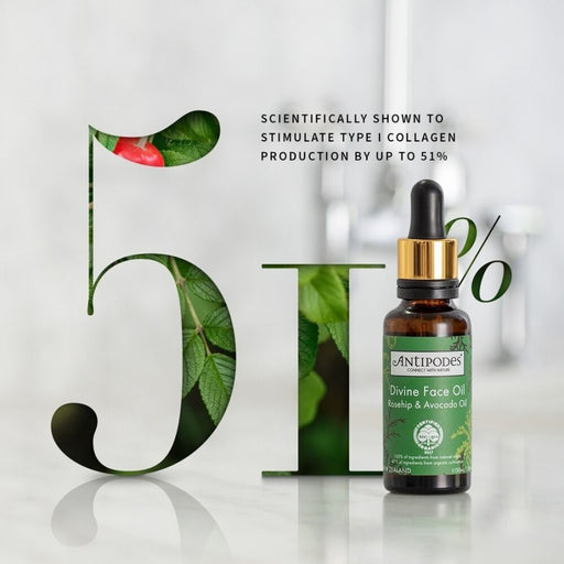 Antipodes Divine Face Oil Rosehip & Avocado Oil 30ml - The Health Shop