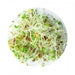 LocalID_18838 