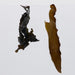 LocalID_17230 