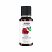 NOW Essential Oil Rose Absolute 5% Blend 30ml - The Health Shop