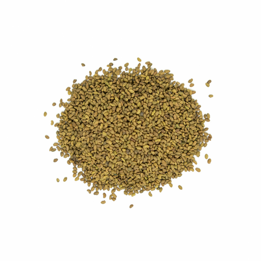 Organic Alfalfa Seeds for Sprouting 100g - The Health Shop